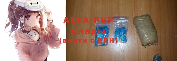 винт Алексин
