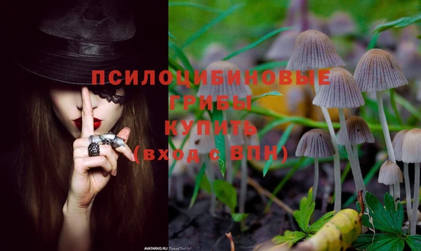 гашиш Алзамай