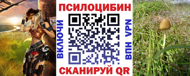как найти наркотики  Осташков  kraken вход  Псилоцибиновые грибы Psilocybine cubensis 
